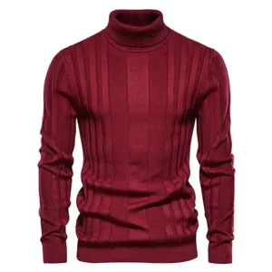 Davion | Pull À Col Roulé Pour Hommes | Chaud